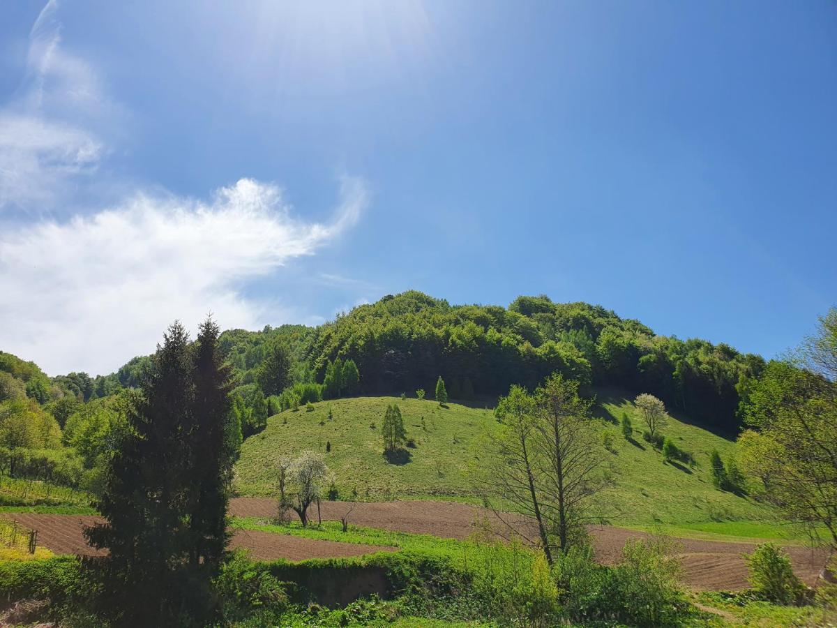 Planinsko Jutro - Brzece Centar Apartments, Kopaonik Bagian luar foto